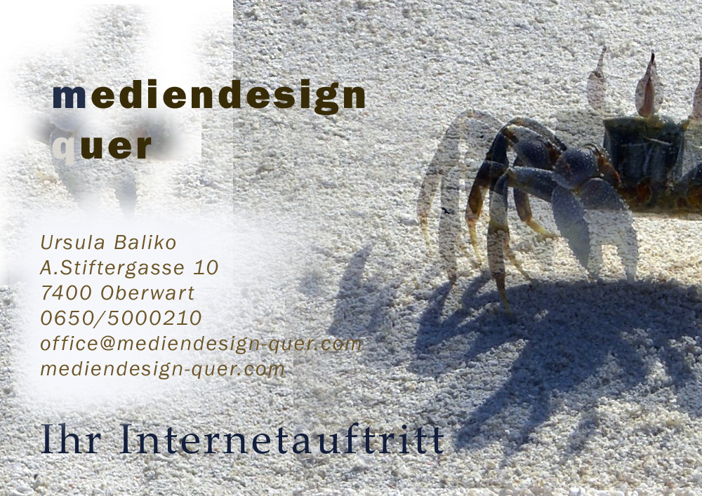 Webvisitenkarte webvisitenkarte