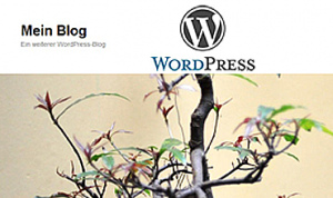 WordPress schlägt alle