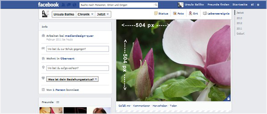 Facebook Chronikbild