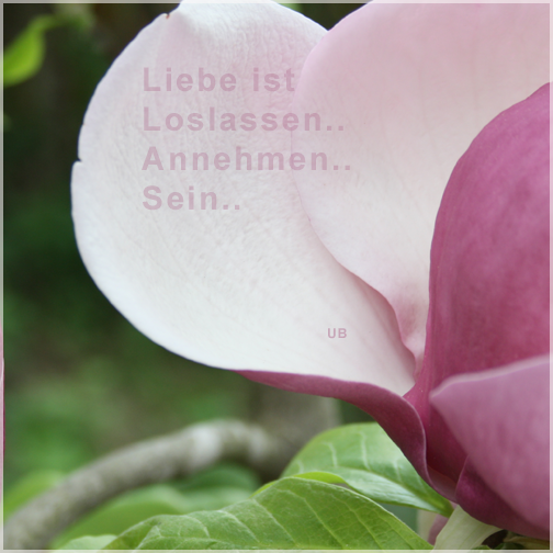 Liebe ist