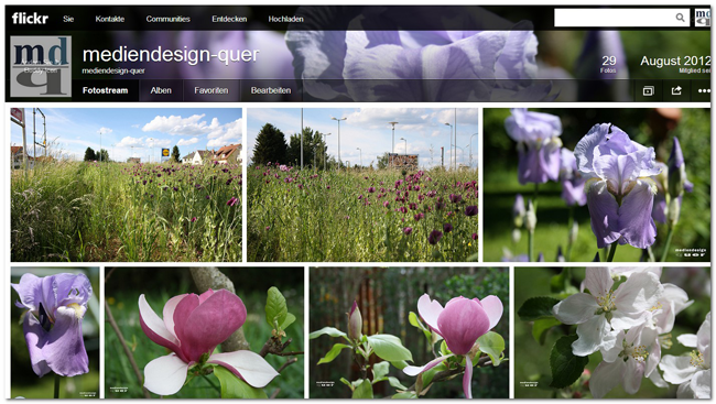 Fotostream von flickr