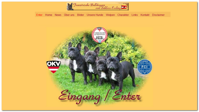 Bully Startseite neu