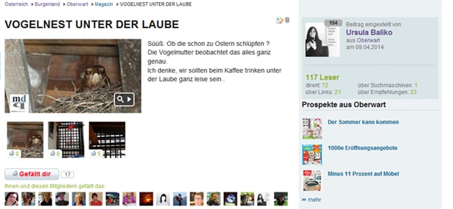 Vogelnest unter der Laube bei Mediendesign-Quer