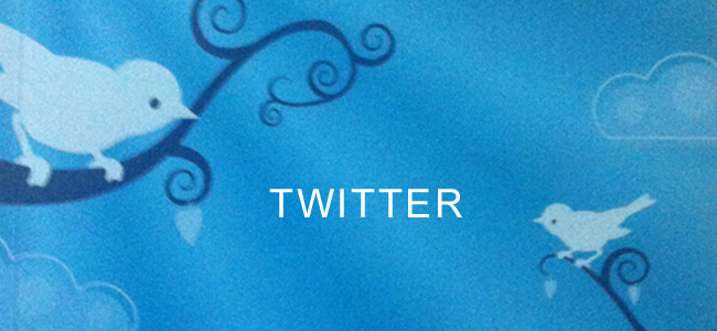 Twitter für Starter