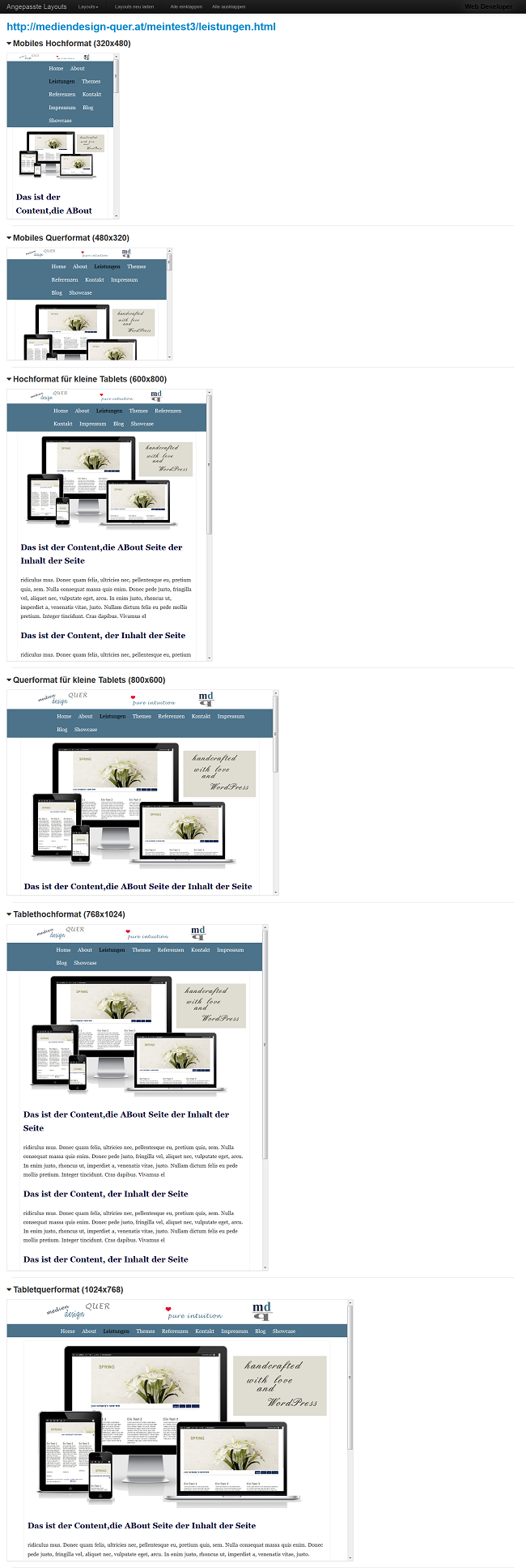 Webdeveloper Tool Firefox