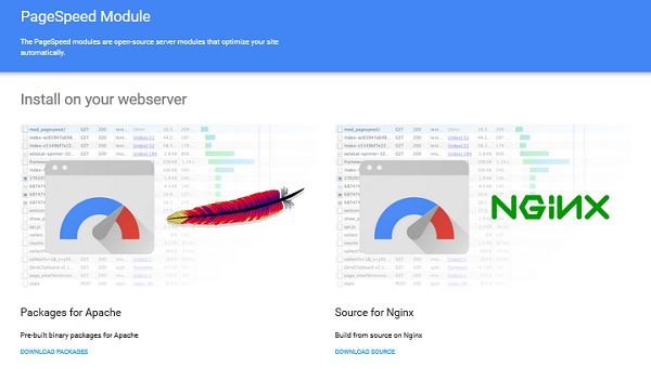 page-speed-module-google
