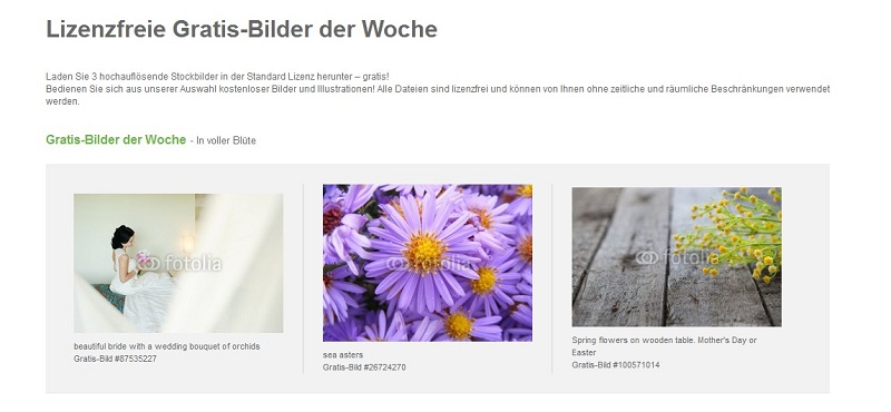 lizenzfreie-gratis-bilder-fotolia