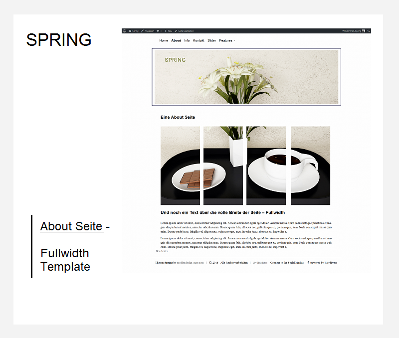 wordpress-theme-spring-about-seite