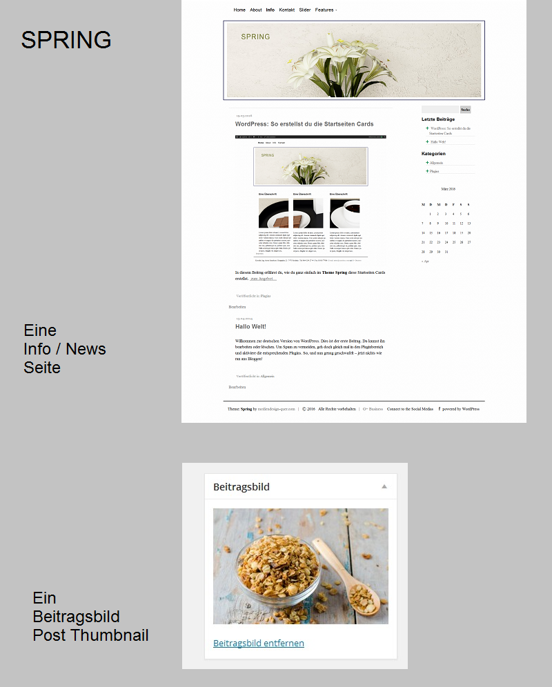 wordpress-theme-spring-info-seite