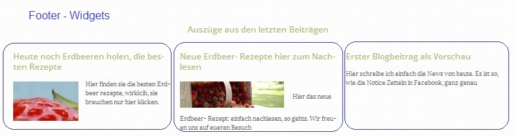 3-widget-bereiche-im-footer