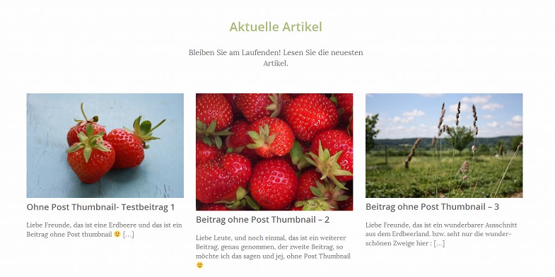 drei widget bereiche