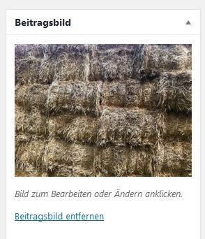 beitragsbild