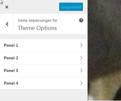 wp-seventeen-theme-options