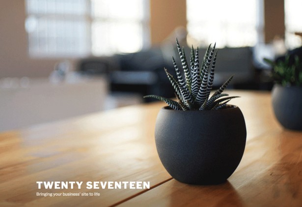 twenty-seventeen-theme-wp