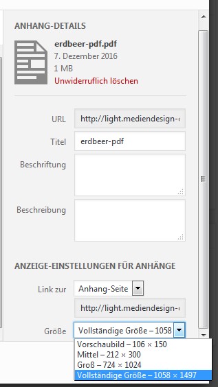 wp-anhang-details