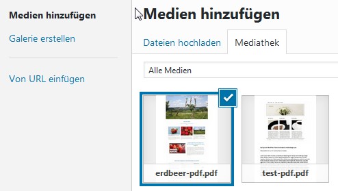 wp-mediathek-pdf-vorschaubild
