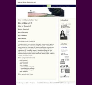 2-manyi-schrift-test