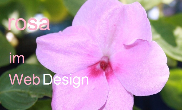 webdesign-und-rosa