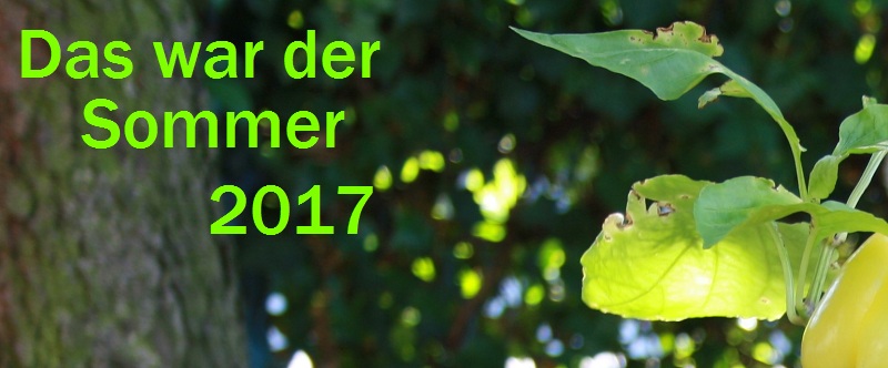 sommer-2017