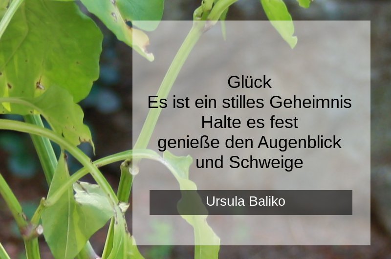 spruch-glueck