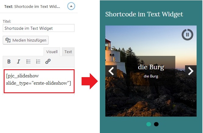 shortcode-textwidget-pinguin-02