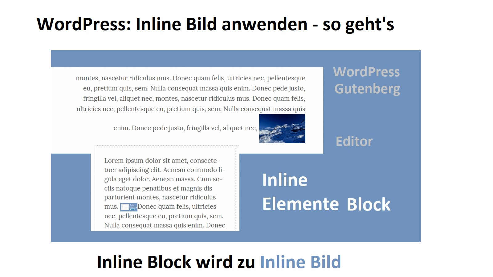wordpress-inline-bild